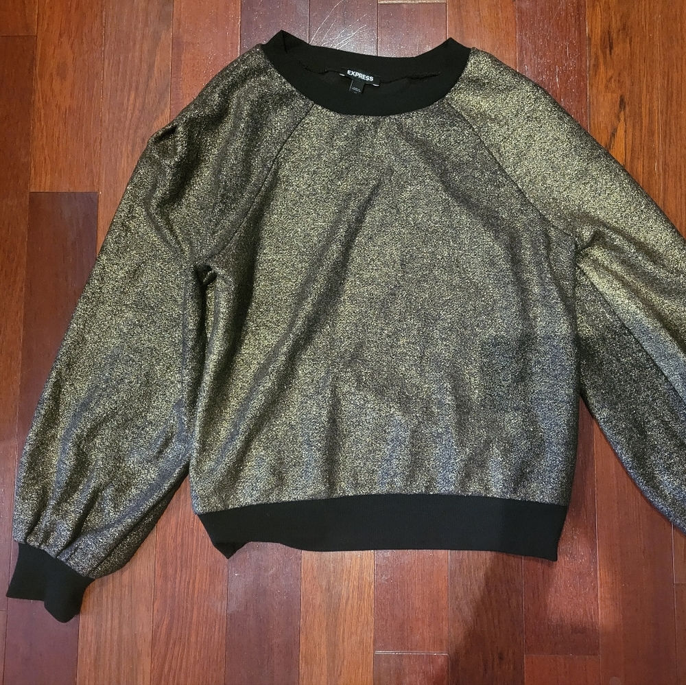 Express sweater new